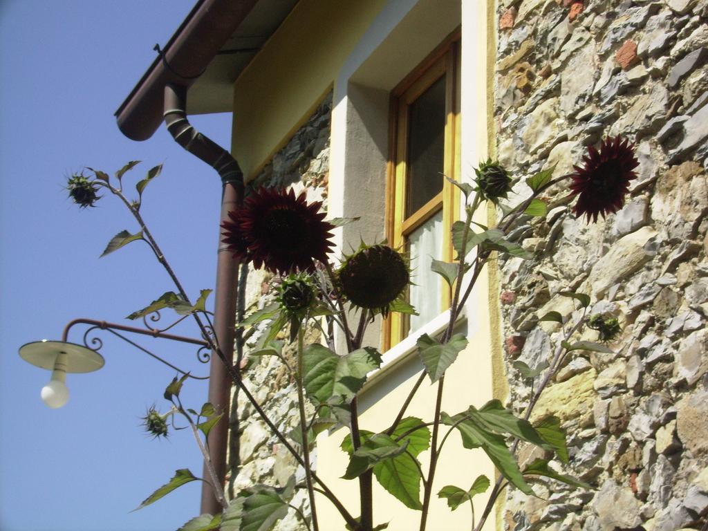 Il Girasole Bed & Breakfast Fosdinovo Dış mekan fotoğraf